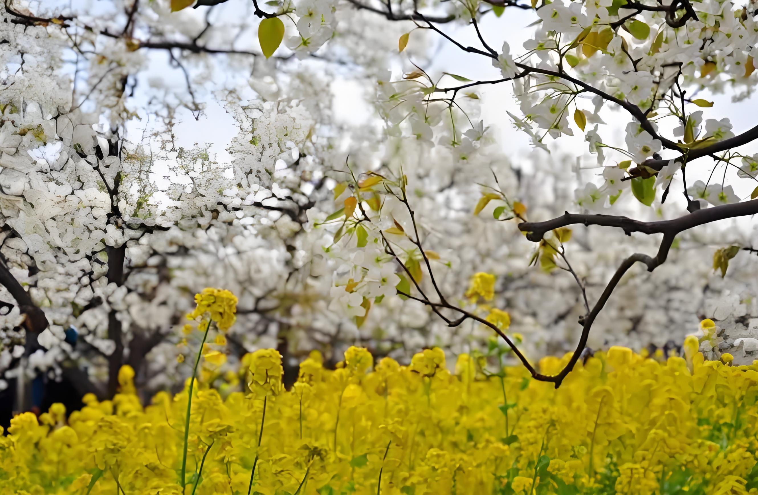 Wznowienie pracy po święcie Qingming: refleksja i dalszy rozwój